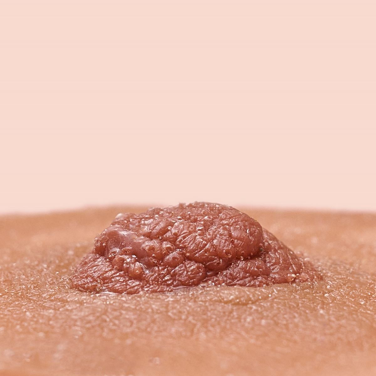 Tepelprotheses bruin